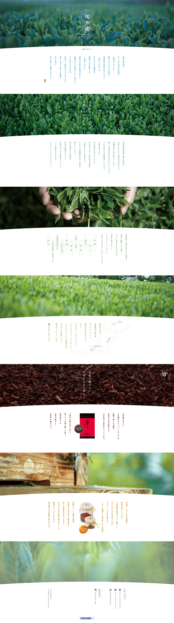 瑞芳園 - 昔ながらの有機農法で作る旨いお茶_pc_1
