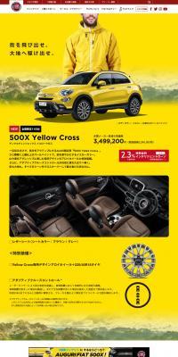 500X Yellow Cross