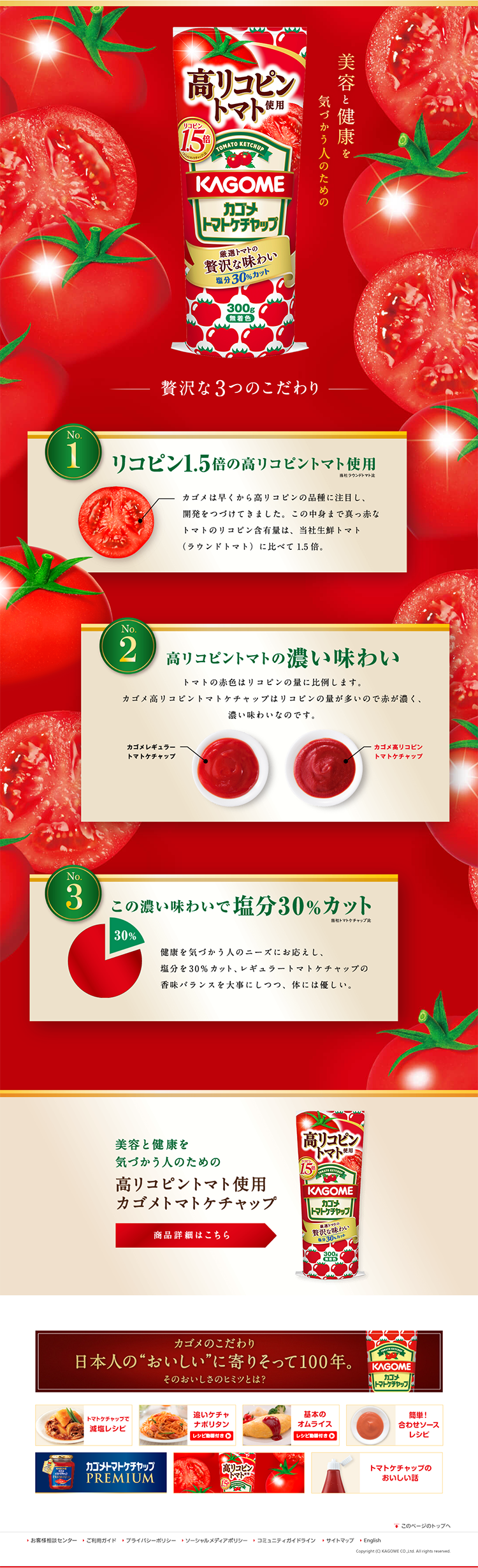 高リコピントマト使用トマトケチャップ_pc_1
