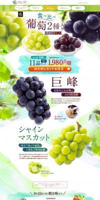 食べ比べ葡萄2種入り厳選食材セット