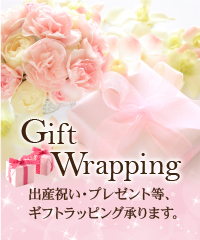 Gitt Wrapping2