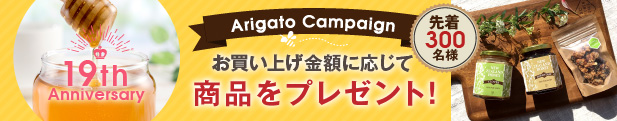Arigato Campaign1