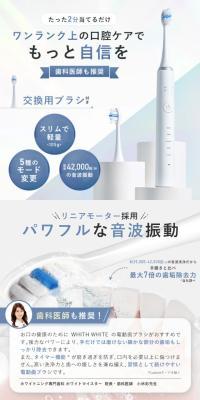 Fiswhite Electric Toothbrush
