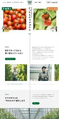 Salad Bowl RECRUIT SITEのLPデザイン（中途採用／グリーン系／シンプル系）PC版