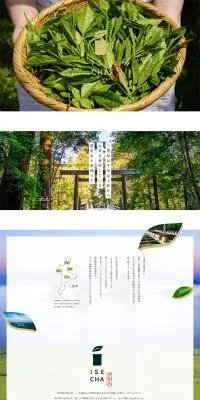 伊勢茶Pay BoxのLPデザイン（お茶・紅茶・珈琲／ホワイト系／シンプル系）PC版