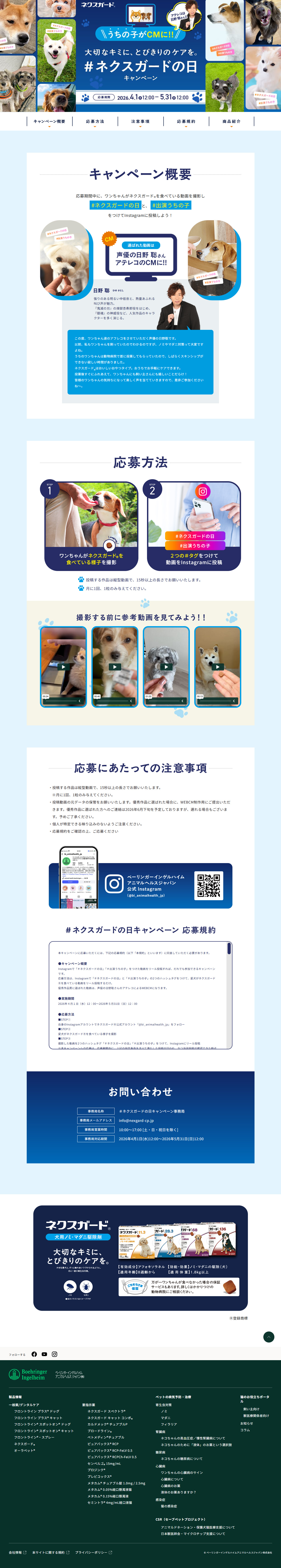 NexGard Day Campaign LP design (Pet food and pet supplies / Shades of blue / Simple) PC version