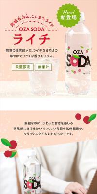 炭酸水 500ml 48本 (24本×2ケース) 