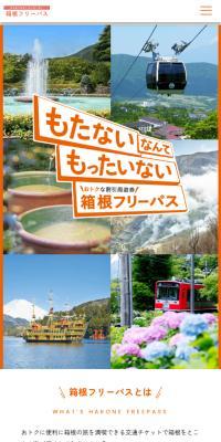 Hakone Furiipasu