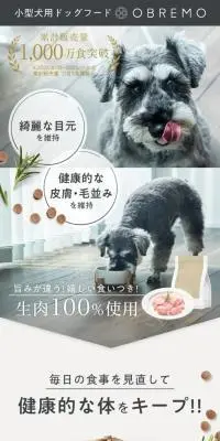 OBREMOのLPデザイン（ペットフード ・ ペット用品／グレー系／シンプル系）スマホ版