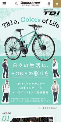Electric Cross Bike TB1