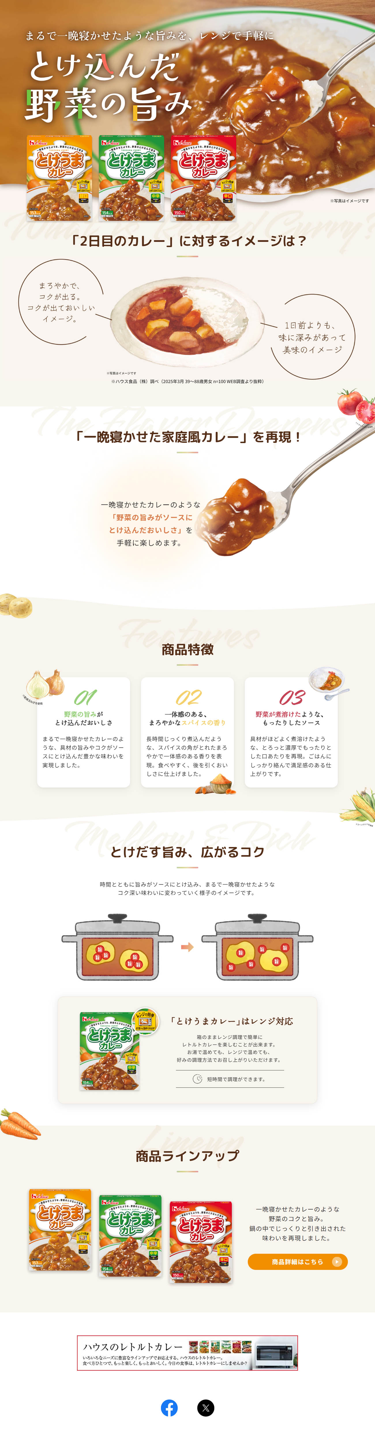 とけうまカレーのLPデザイン（レトルト・インスタント／ブラウン系／かわいい系）PC版