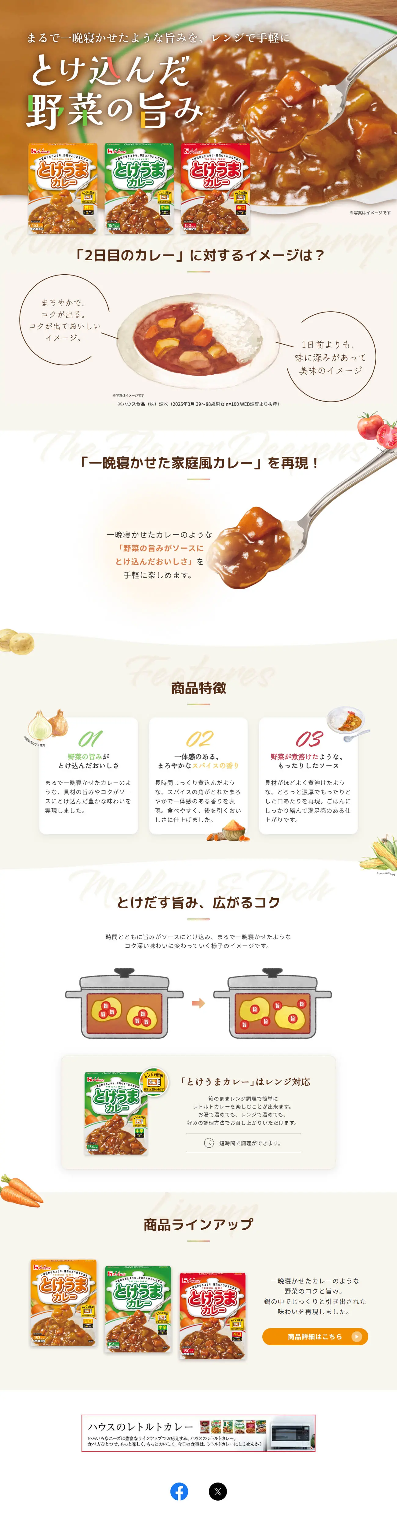 とけうまカレーのLPデザイン（レトルト・インスタント／ブラウン系／かわいい系）PC版