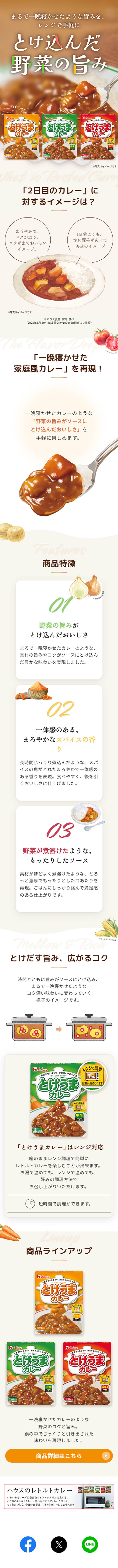 とけうまカレーのLPデザイン（レトルト・インスタント／ブラウン系／かわいい系）スマホ版