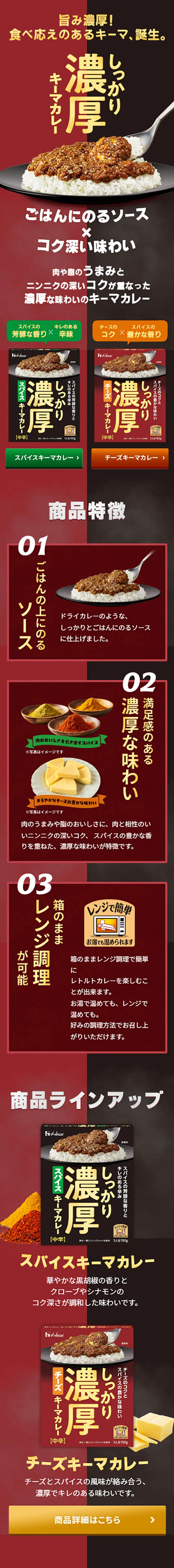 しっかり濃厚キーマカレーのLPデザイン（レトルト・インスタント／ブラウン系／力強い系）スマホ版