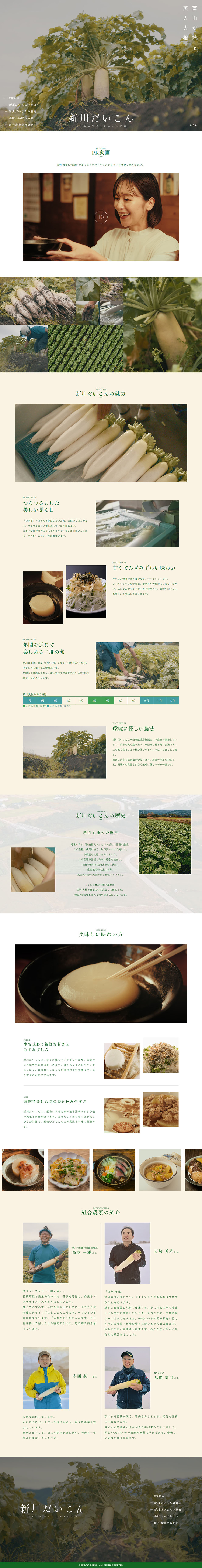 Niikawa daikon LP design (fruit-vegetable / Beige tones / Simple)