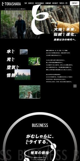 Earth and the Future. Tradition and Evolution.