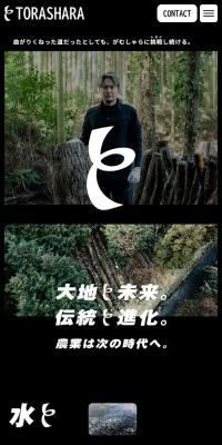 Torashara