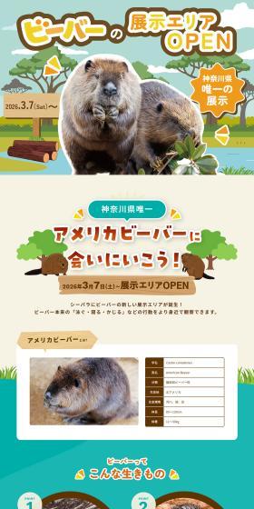 ビーバーの展示エリアOPEN