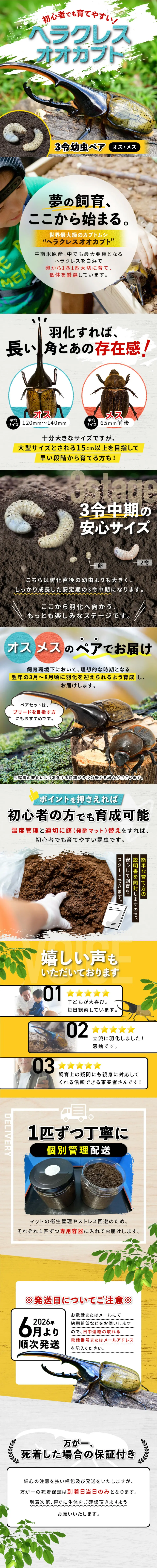 ヘラクレスオオカブトのLPデザイン（ペットフード ・ ペット用品／イエロー系／にぎやか系）PC版