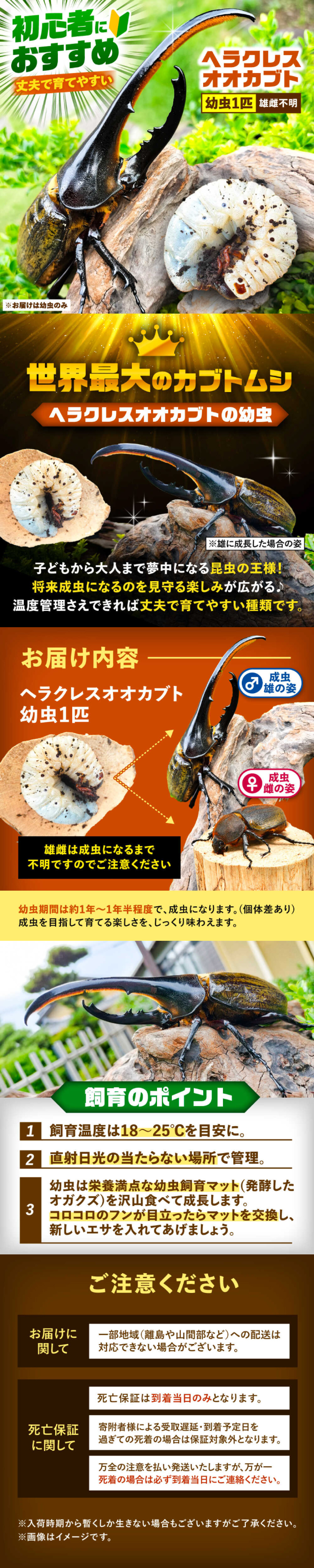 Herakuresu Ookabuto LP design (Pet food and pet supplies / Brown tones / Lively type) PC version