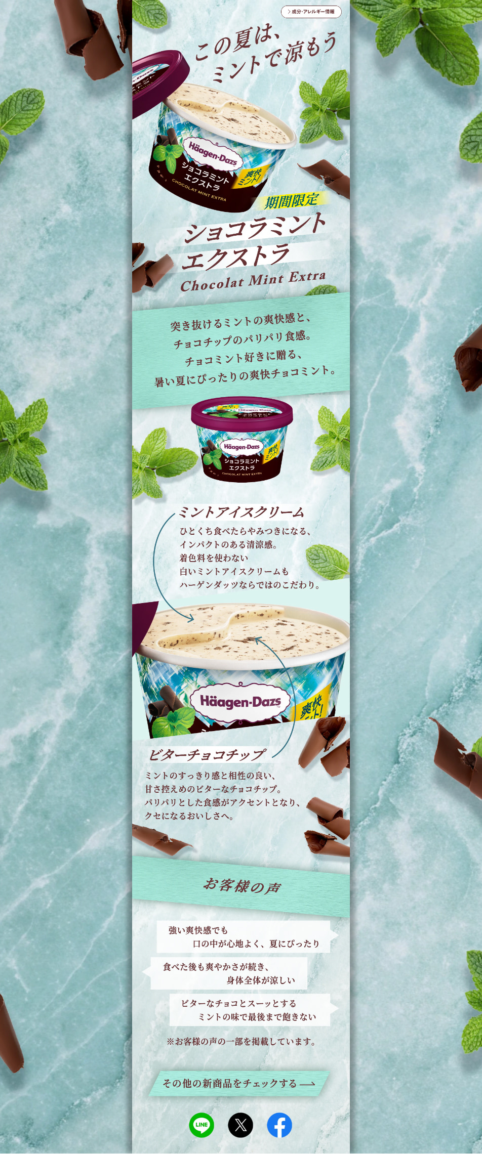 Shokora Minto Ekusutora LP design (ice / Green tones / Refined style) PC version