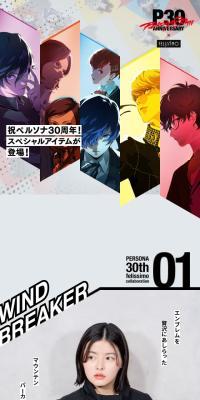 PERSONA30TH