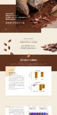 Cacao Flavanol