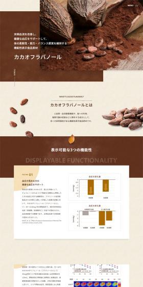 Cacao Flavanol