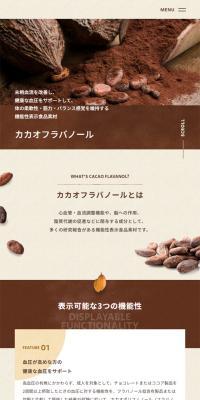 Cacao Flavanol