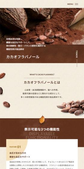 Cacao Flavanol