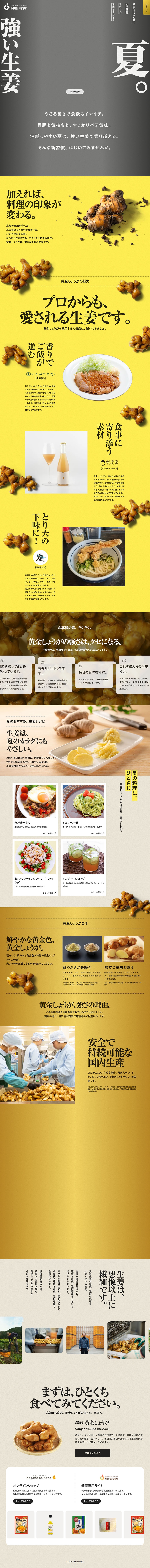 坂田の黄金しょうがのLPデザイン（フルーツ・果物・野菜／ゴールド系／力強い系）PC版