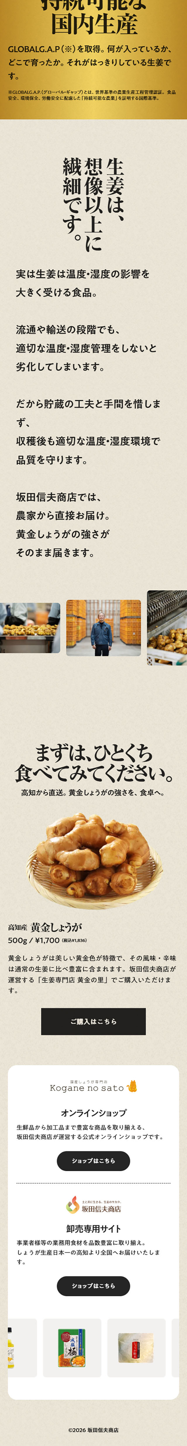 坂田の黄金しょうがのLPデザイン（フルーツ・果物・野菜／ゴールド系／にぎやか系）スマホ版