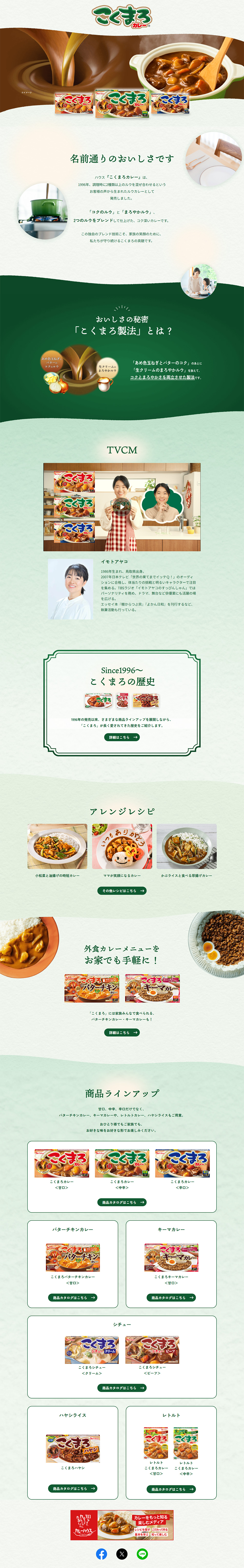 こくまろカレーのLPデザイン（調味料・甘味料・ダシ・スープ／ブラウン系／シンプル系）PC版