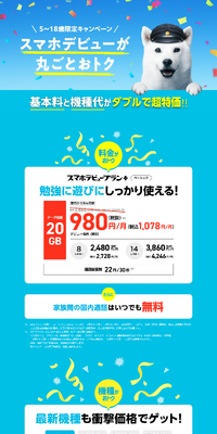 5～18歳限定キャンペーンのLPデザイン（通信・ネットワーク機器／ブルー系／信頼・安心系）PC版