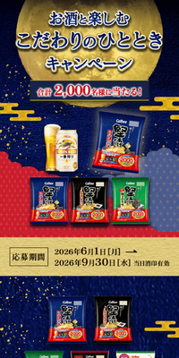 堅あげポテト お酒と楽しむこだわりのひとときキャンペーンのLPデザイン（イベント・キャンペーン・体験／ブルー系／和風系）スマホ版