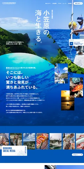 小笠原母島漁業協同組合のLPデザイン（企業・会社・お店／ブルー系／爽やか系）PC版