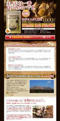 伝承にんにく卵黄のLPデザイン（健康・美容食品・サプリ／ブラウン系／かっこいい系）PC版