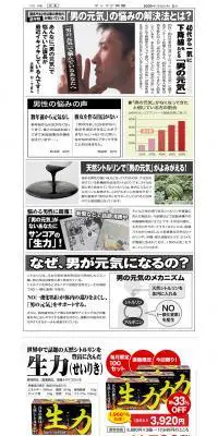 生力のLPデザイン（健康・美容食品・サプリ／ブラック系／アート・芸術系）PC版