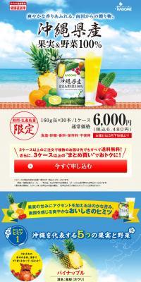 沖縄県産 果実＆野菜100％