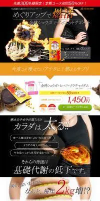金時ショウガ＋ヒハツ＋クラチャイダムのLPデザイン（健康・美容食品・サプリ／カラフル系／力強い系）PC版