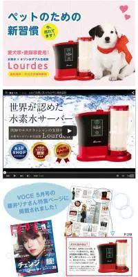 LourdesのLPデザイン（日用雑貨／カラフル系／かわいい系）PC版