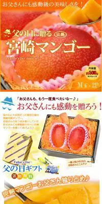 父の日に贈る宮崎マンゴーのLPデザイン（インターネットサービス／オレンジ系／にぎやか系）PC版