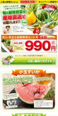 安心・安全な新鮮野菜セットのLPデザイン（インターネットサービス／カラフル系／にぎやか系）PC版