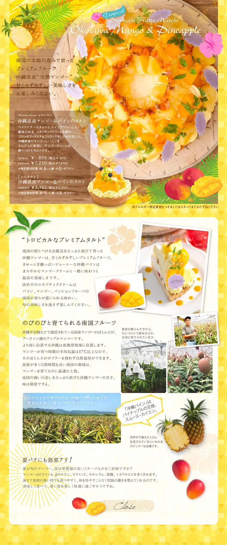 Okinawan Mango & Pineapple Tart LP design (food / yellow / Cute style) PC version