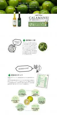 CALAMANSIのLPデザイン（インターネットサービス／グリーン系／シンプル系）PC版