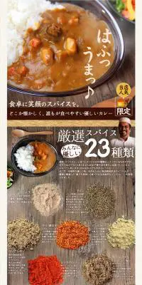 インドカレー8食セットのLPデザイン（食品／ベージュ系／にぎやか系）PC版