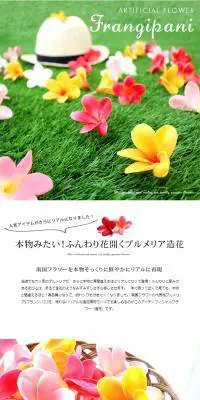 プルメリア造花　フランジパニのLPデザイン（ファッション／ホワイト系／かわいい系）PC版