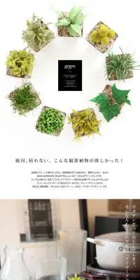 グリーンポット3個セットのLPデザイン（インテリア・家具・寝具／ホワイト系／シンプル系）PC版
