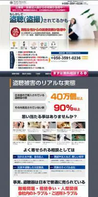 Assistance in detecting listening devices and hidden cameras. LP design (Services, Insurance, and Finance / Shades of grey / Trust and Safety) PC version