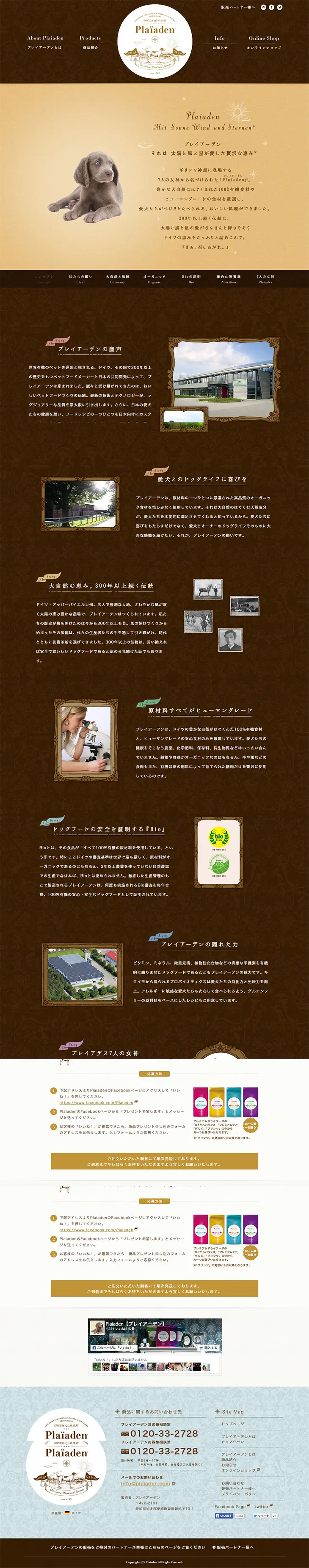 Pleiades LP design (Pets, Flowers, DIY Tools / Gold tones / Cute style) PC version
